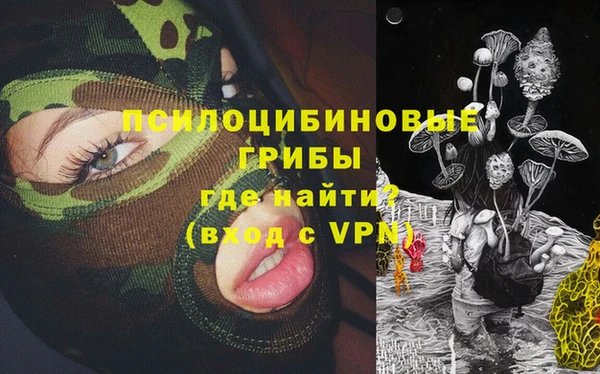 мяу мяу мука Алзамай