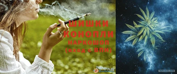 крисы Осинники