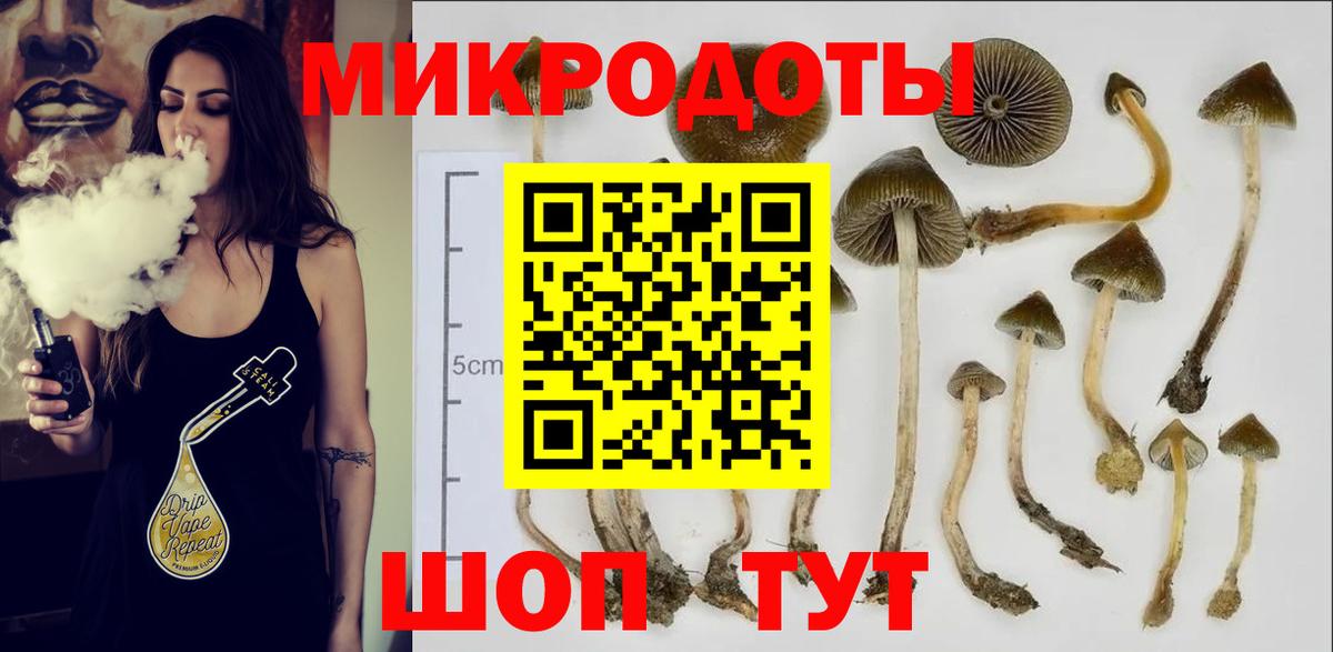 Галлюциногенные грибы MAGIC MUSHROOMS Сатка
