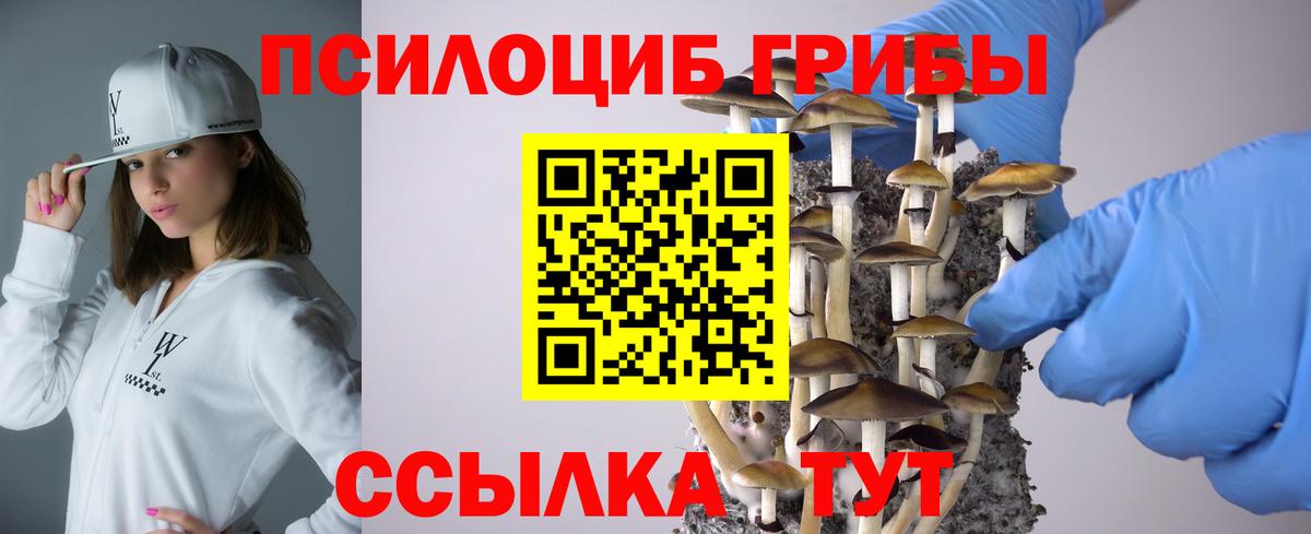 Сатка  Галлюциногенные грибы прущие грибы  Вход с VPN 